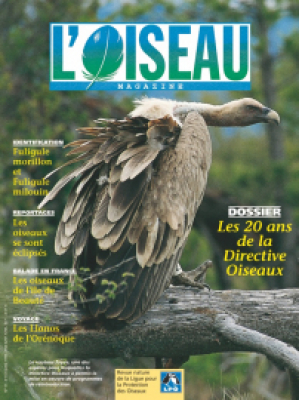 L'Oiseau Mag n° 55