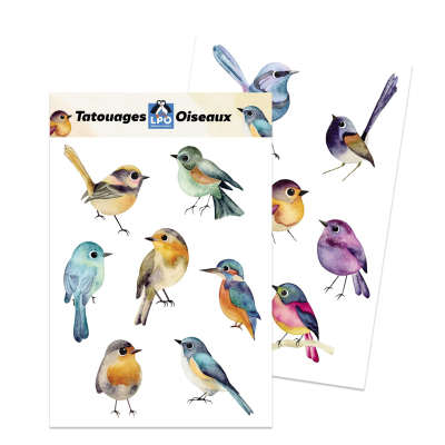 Pochette tatouages LPO Oiseaux