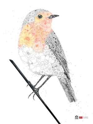 Affiche LPO 60 x 80 cm - Secrets de faune - Rougegorge familier