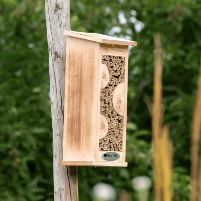 Gîte à abeilles solitaires Flora, Grand modèle