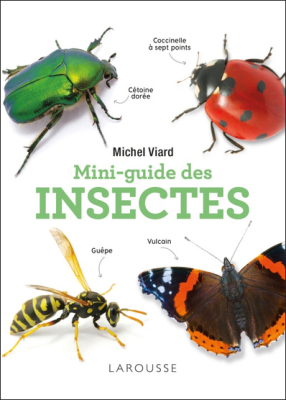 Mini-guide des insectes, Nouvelle édition