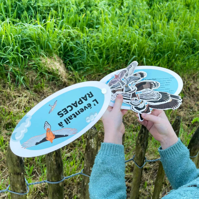 Éventail pédagogique LPO - Identifier les rapaces