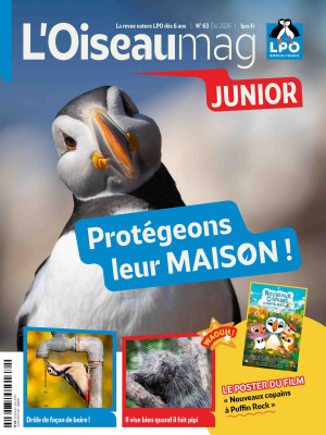 L'Oiseau Magazine Junior n°63 - Été 2026