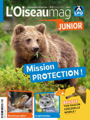 L'Oiseau Magazine Junior n°62 - Printemps 2026