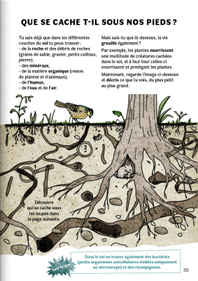 Mon grand cahier buissonnier