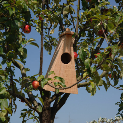 Nichoir LPO Huppe fasciée