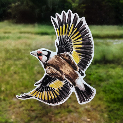 Anti-collisions électrostatiques Oiseaux des jardins - Lot de 4