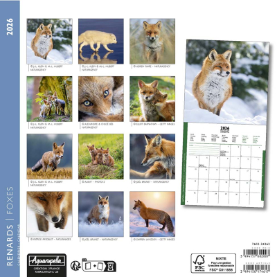 Calendrier 2026 Renards 16,5 x 16,5 cm