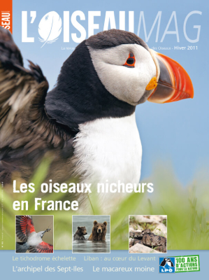 L'Oiseau Mag n°105