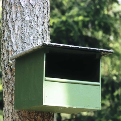 Nichoir en éco-plaque pour Faucon crécerelle