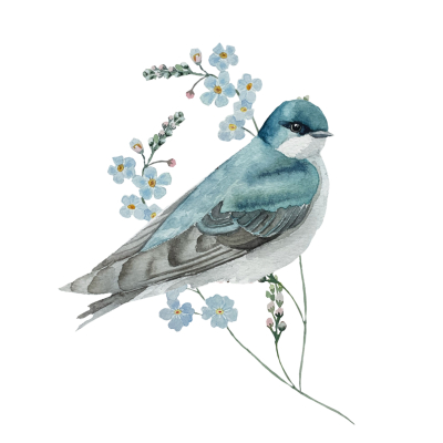 Mug LPO Hirondelle de fenêtre