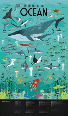 Poster pédagogique 59 stickers - Animaux des mers