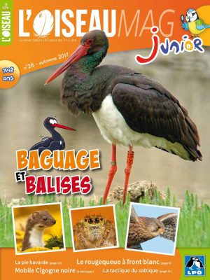 L'Oiseau Magazine Junior n°28