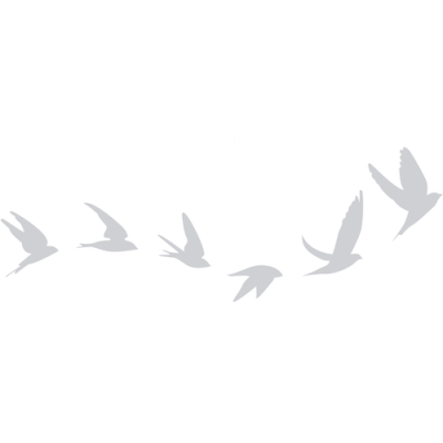 Stickers LPO anticollisions Vol d'oiseau