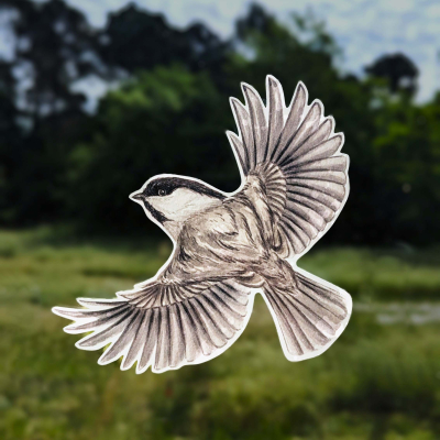 Anti-collisions électrostatiques Oiseaux des montagnes - Lot de 4