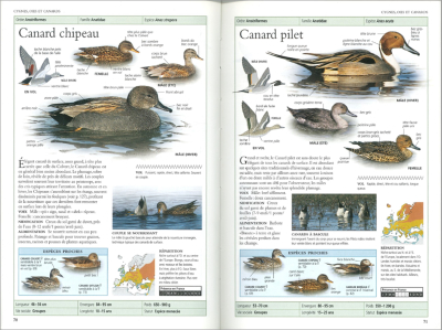 Oiseaux de France et d'Europe + CD