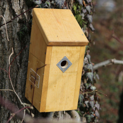 Nichoir connecté 32 mm