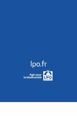 Carnet LPO - Baleine
