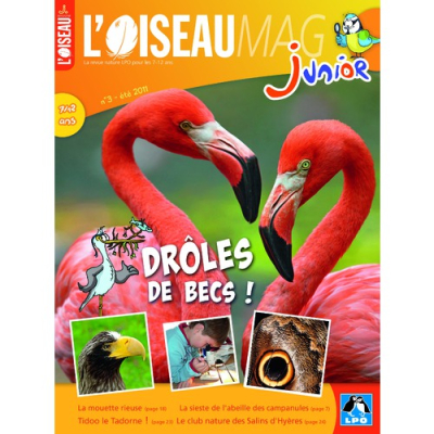 L'Oiseau Magazine Junior N°3
