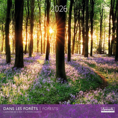 Calendrier 2026 Dans les forêts 30 x 30 cm