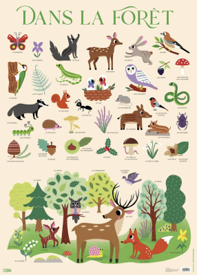Mes posters d'école - Dans la forêt
