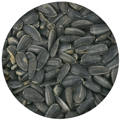 Graines de tournesol noir bio 5 kg