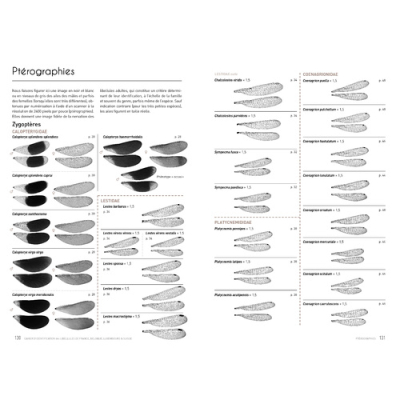 Cahier d'identification des libellules, nouvelle édition