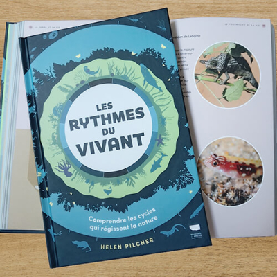 Les rythmes du vivant
