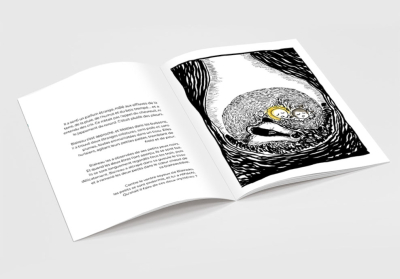 Blaireau et la Nuit noire