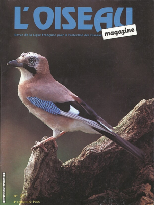 L'Oiseau Mag n° 13