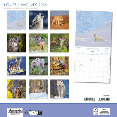 Calendrier 2026 Loups 30 x 30 cm