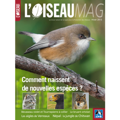L'Oiseau Mag n°113