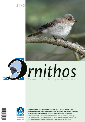 Ornithos N°31/6, Novembre-Décembre 2024