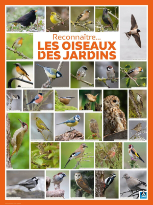 Poster LPO Reconnaître les oiseaux des jardins