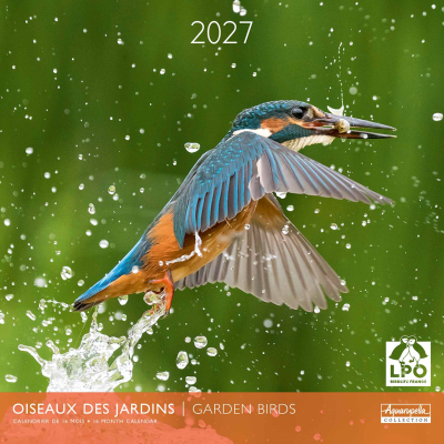 Calendrier 2027 Oiseaux des jardins 30 x 30 cm