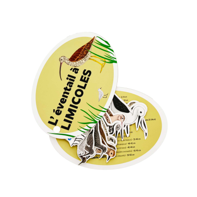 Éventail pédagogique LPO - Identifier les limicoles