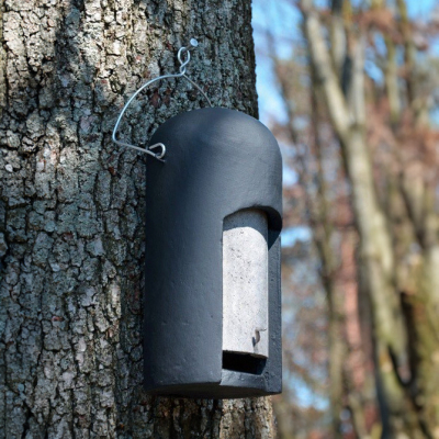 Gîte à chauve-souris Schwegler 2FN