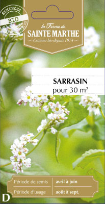 Graines Bio Engrais vert - Sarrasin Vivace 30 m²
