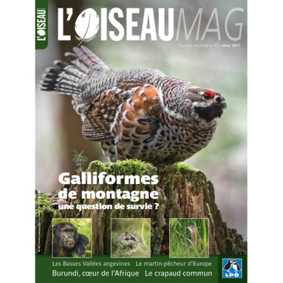 L'Oiseau Mag n° 129