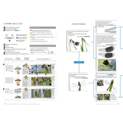 Cahier d'identification des libellules, nouvelle édition