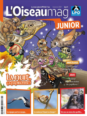 L'Oiseau Magazine Junior n°56 - Automne 2024