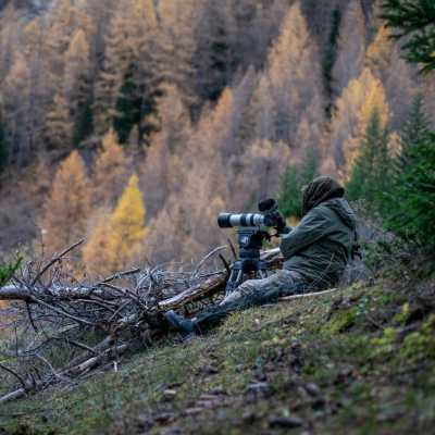 DVD Vivre avec les loups