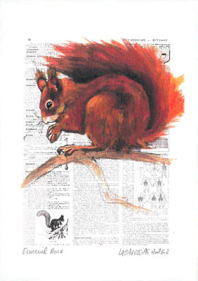 Carte postale collection d'art - Écureuil roux