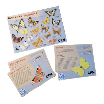 Kiquimank ? Papillons