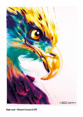 Carte postale LPO 10 x 15 cm - Aigle royal