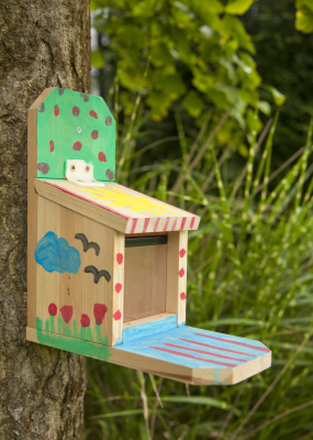 Kit Mangeoire Écureuil Capucine