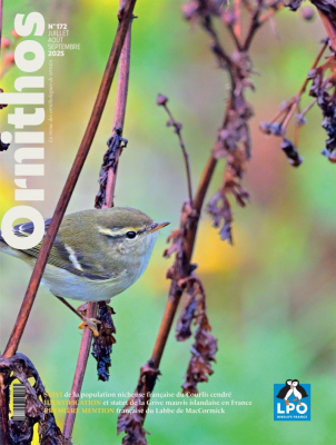 Ornithos n°172 - 3ème trim. 2025
