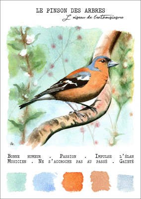 Carte postale - Le Pinson des arbres