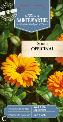 Graines Bio Souci officinal