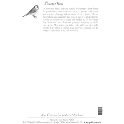 Carte Postale simple 10 x 15 cm Mésange bleue